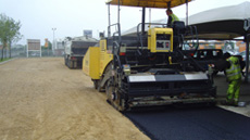 SNV33613.jpg