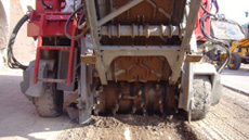 SNV33756.jpg