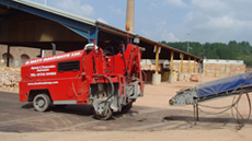 SNV33757.jpg